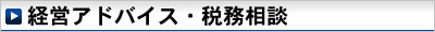 経営アドバイス・税務相談